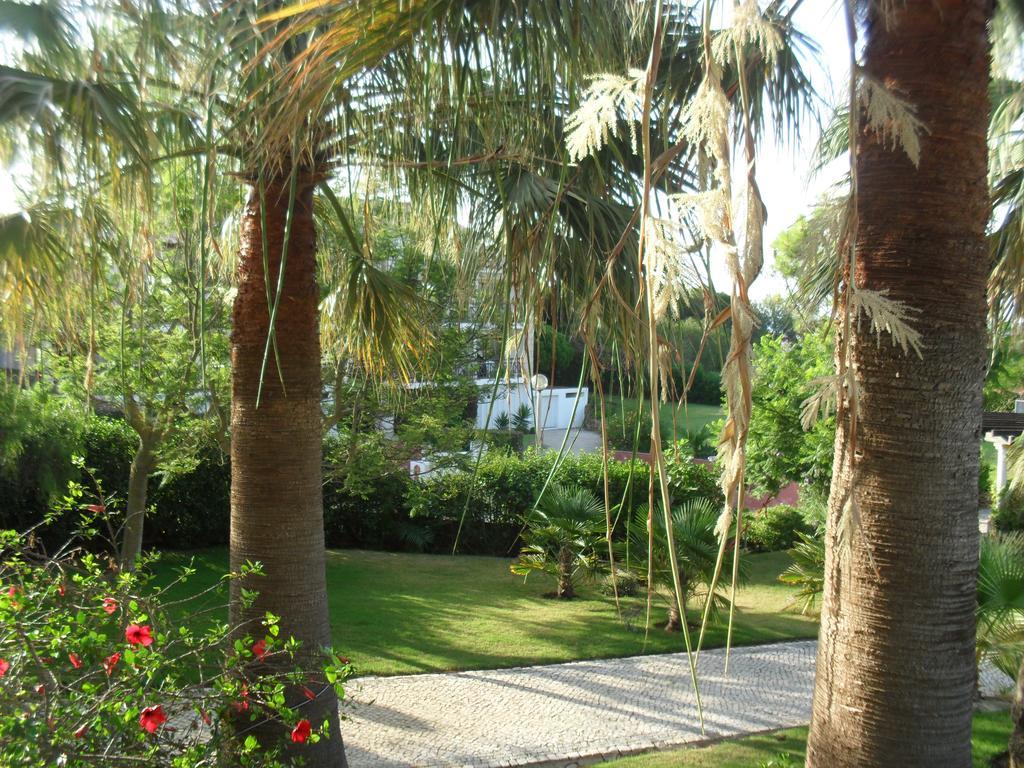 Luzmar Villas Bagian luar foto