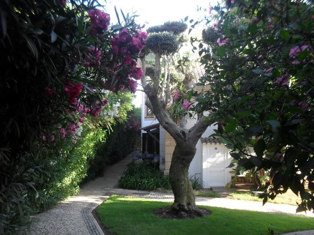 Luzmar Villas Bagian luar foto